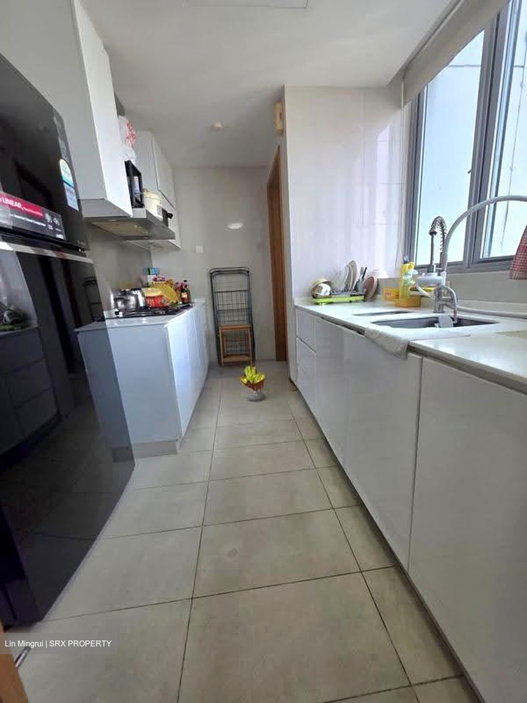 Park Infinia At Wee Nam (D11), Condominium #626834561